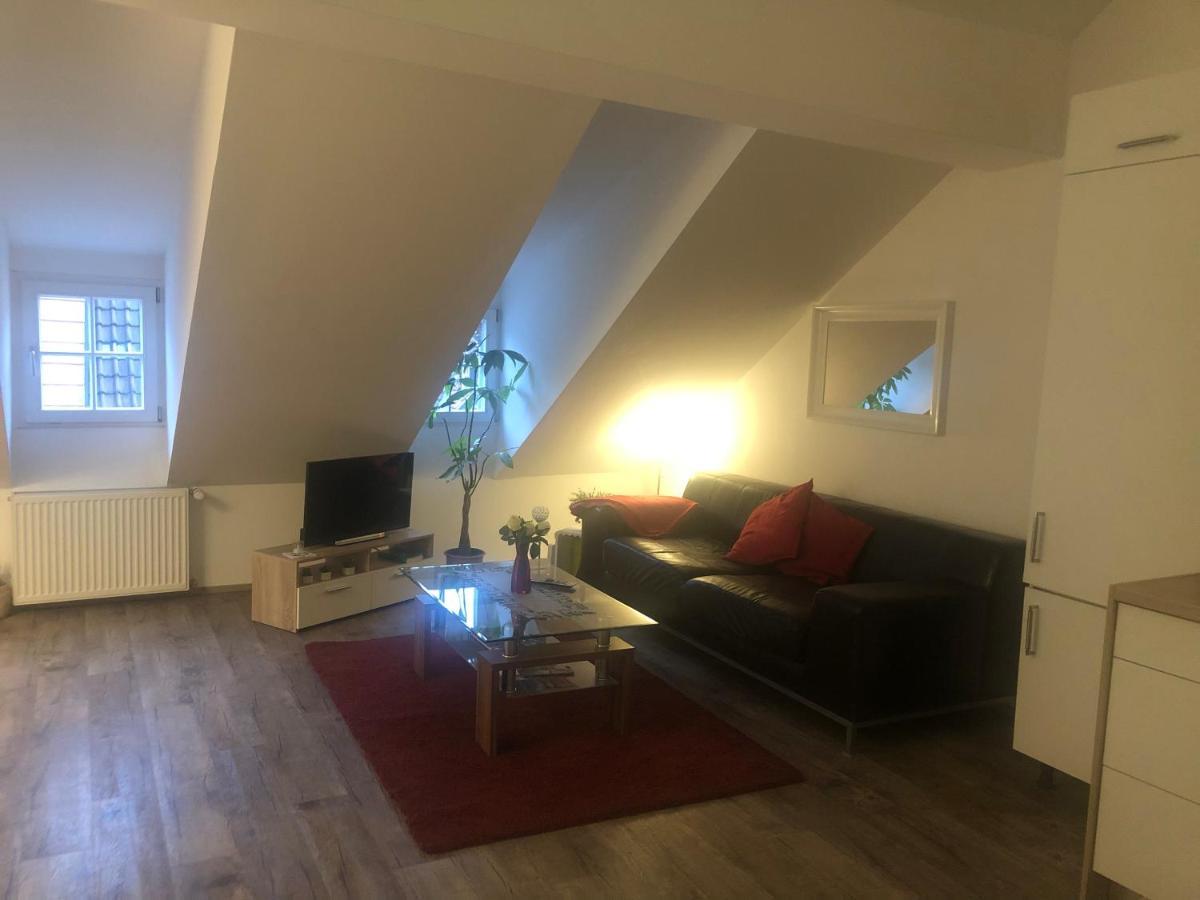 Old Bridge View Apartment Heidelberg Zewnętrze zdjęcie